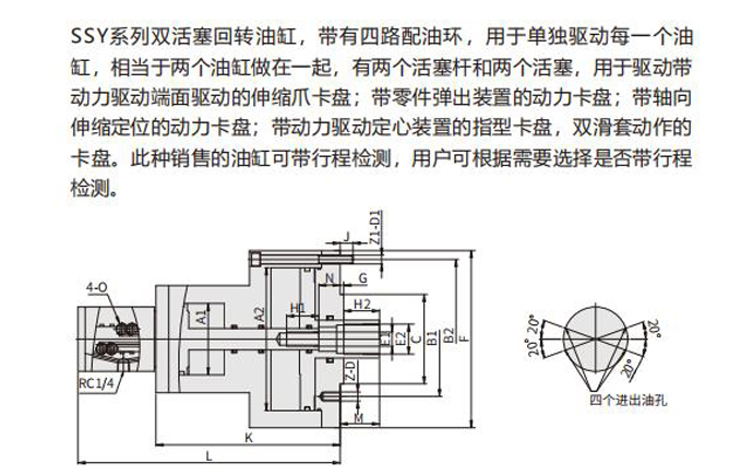 ssy-1.jpg